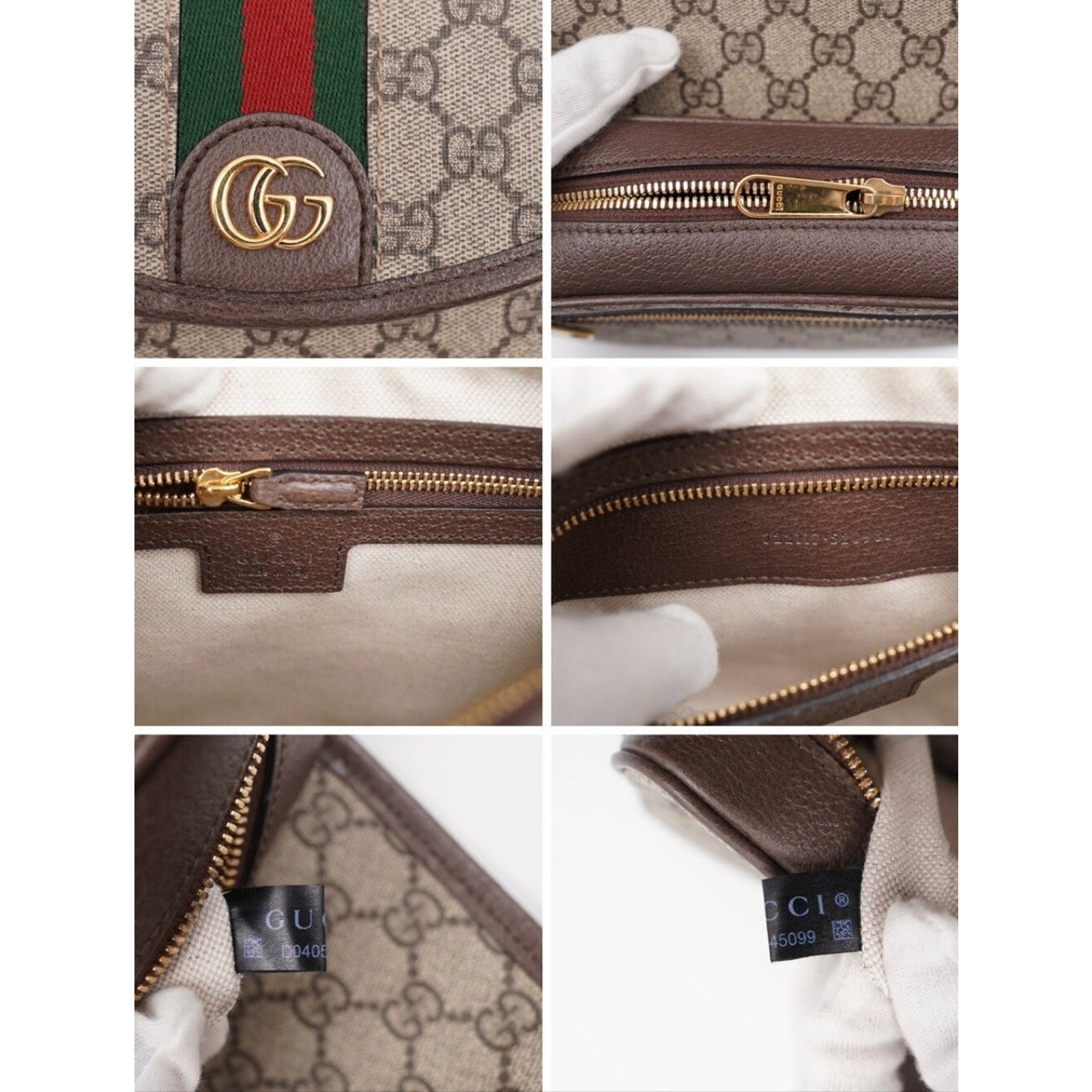 CJ41 ❤️ Gucci GG Supreme Monogram Dollar Calfskin Web Studded  Ophidia